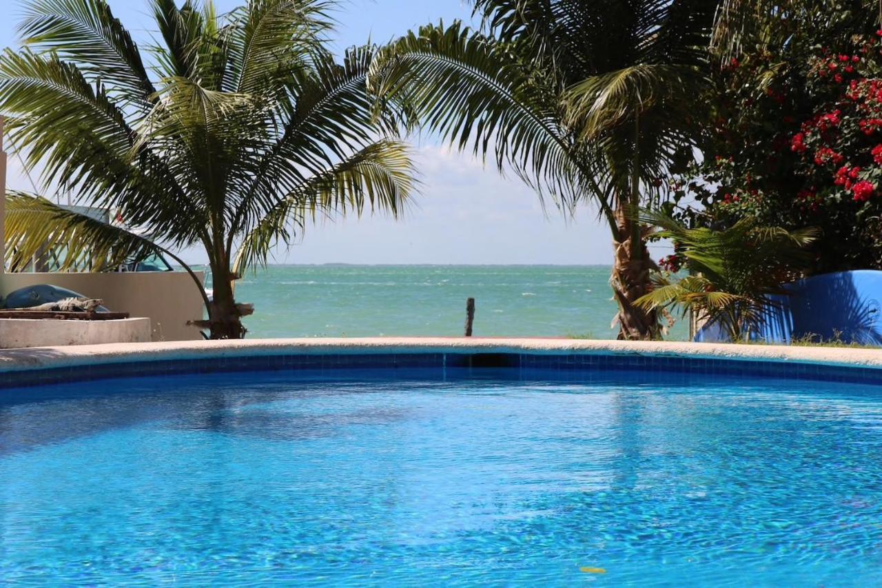 Seaak Cancun Rentals Exterior foto